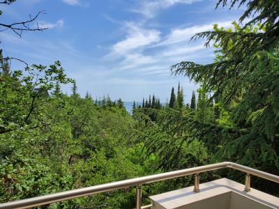 Прикрепленное изображение: 20200619_142405.jpg